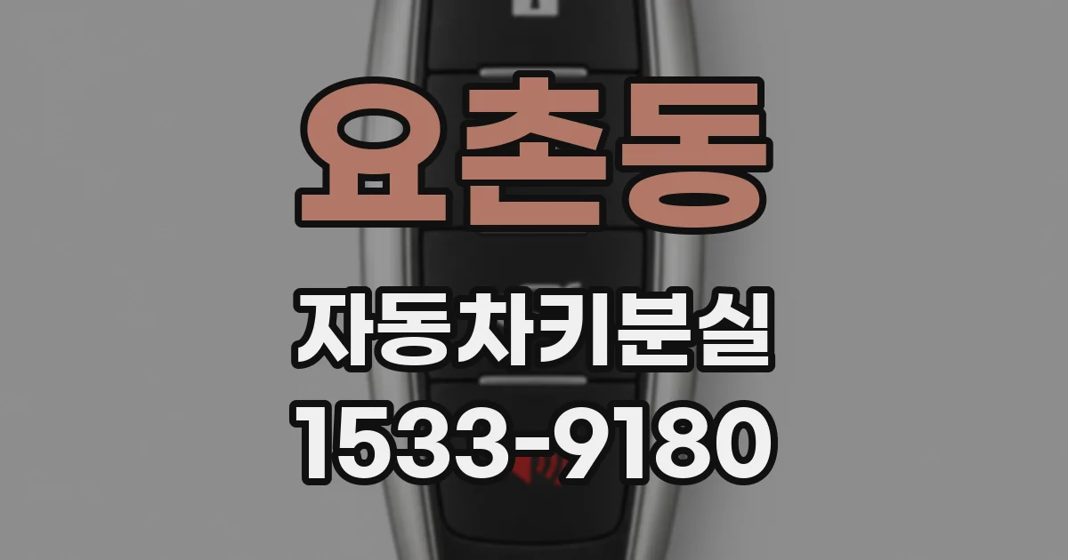 요촌동 자동차키분실