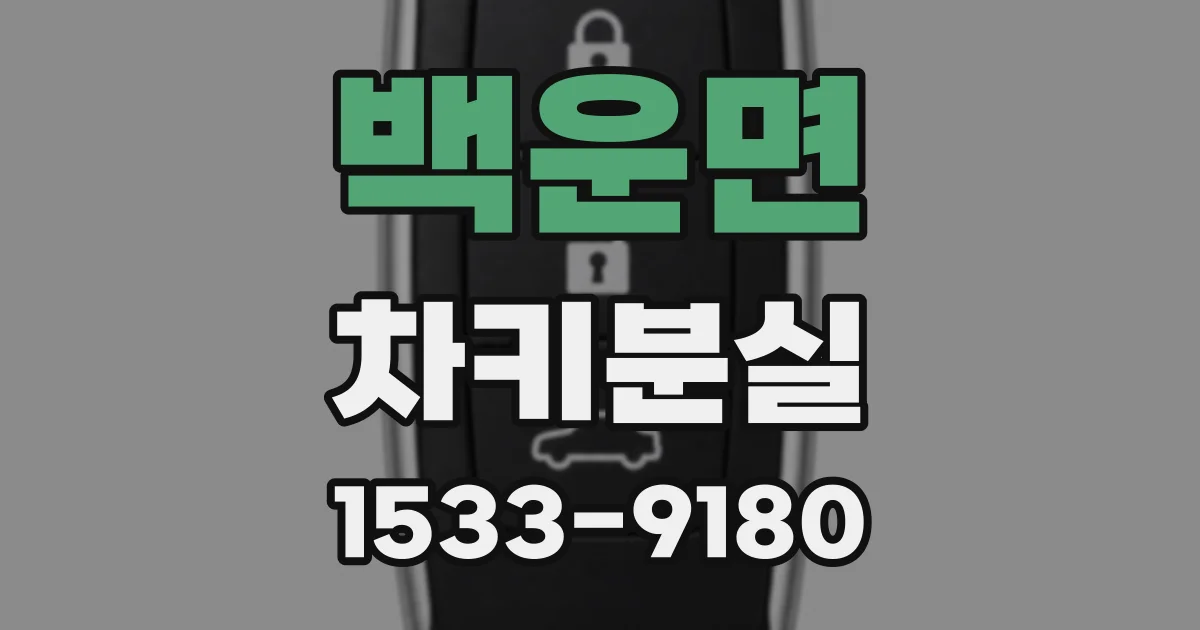 백운면 차키분실