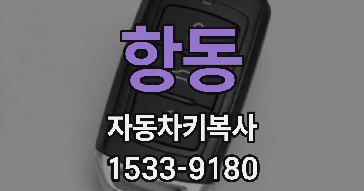 항동 자동차키복사
