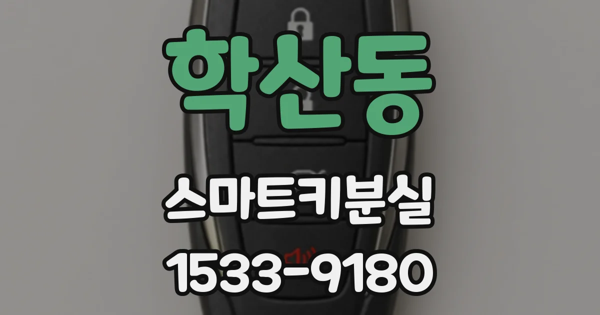 학산동 스마트키분실
