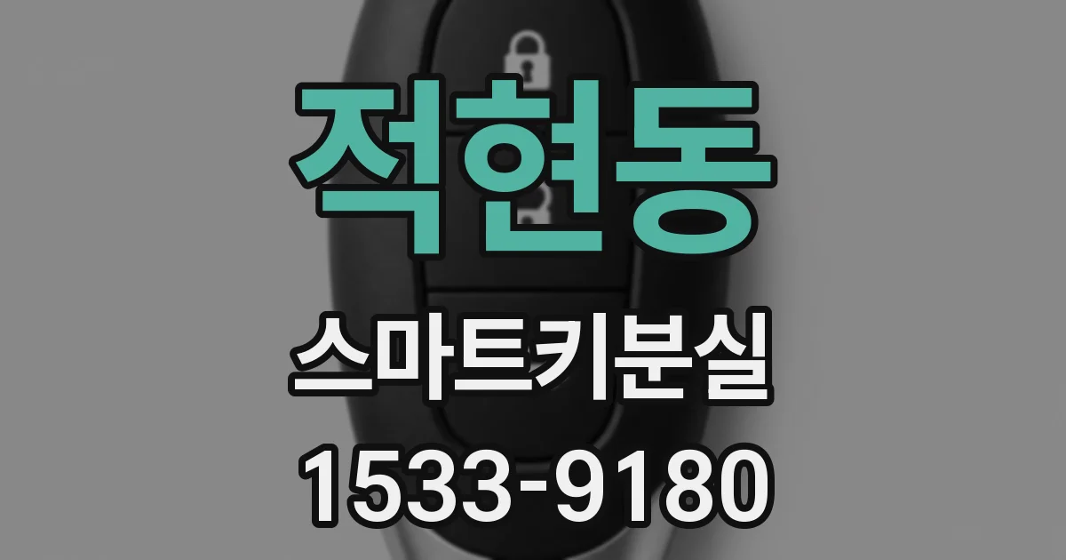 적현동 스마트키분실