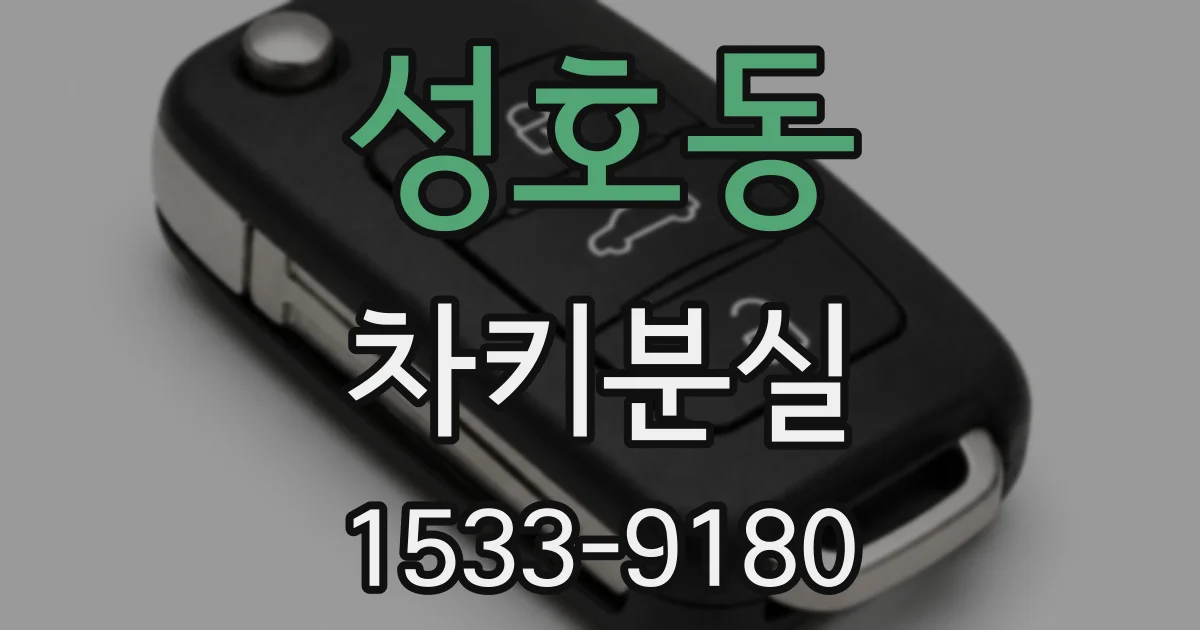 성호동 차키분실
