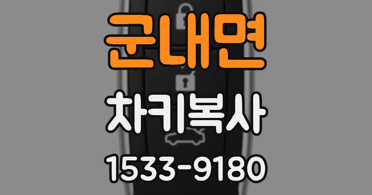 군내면 차키복사
