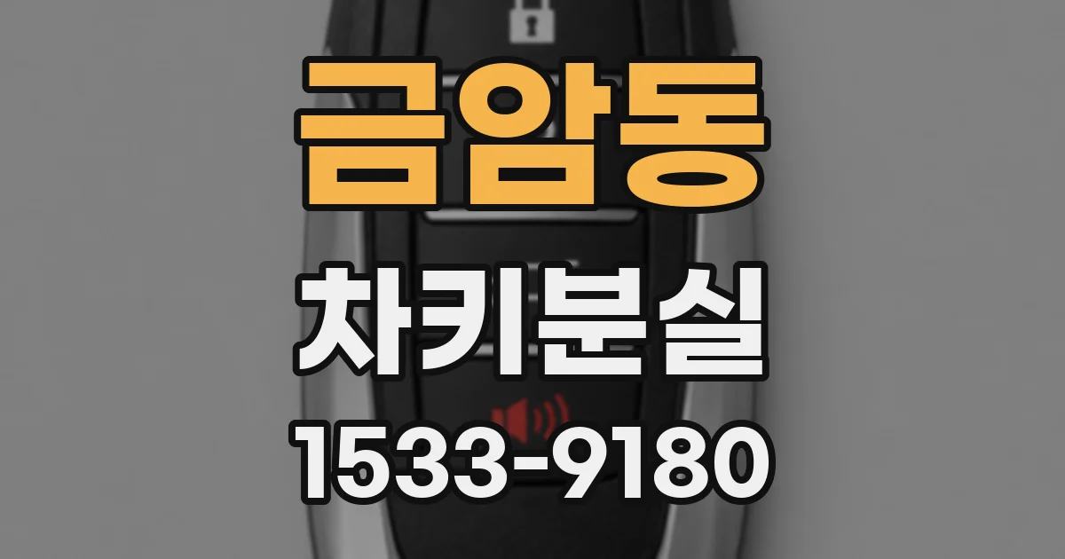 금암동 차키분실