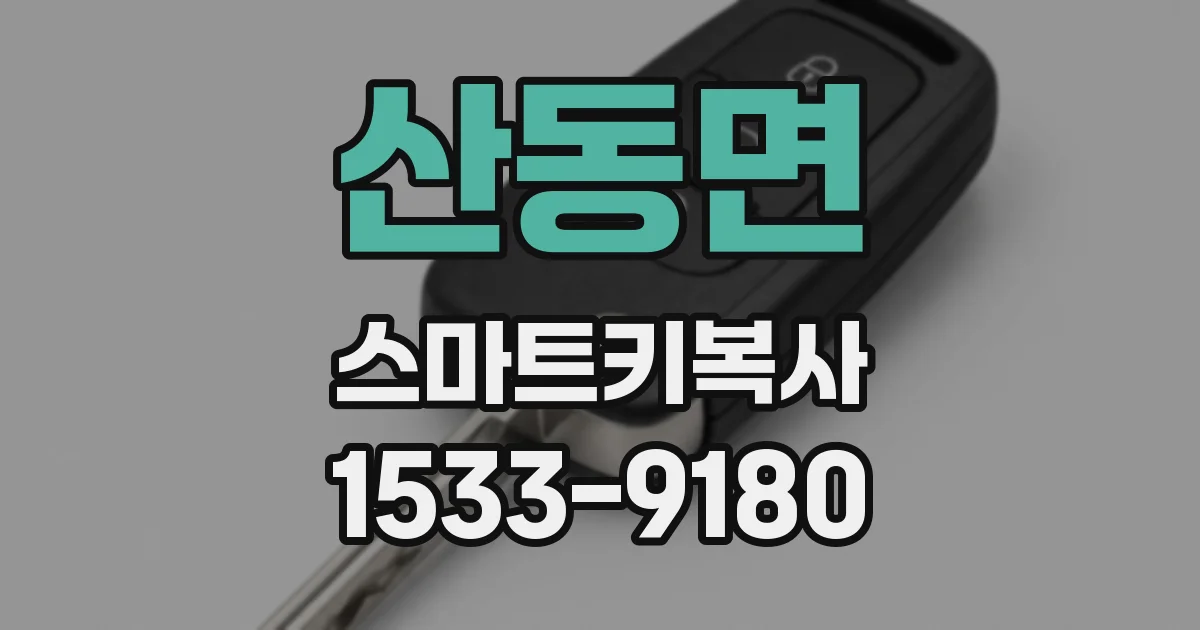 산동면 스마트키복사
