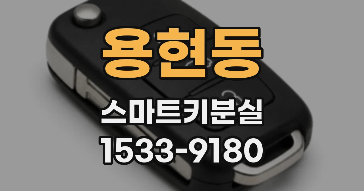 용현동 스마트키분실