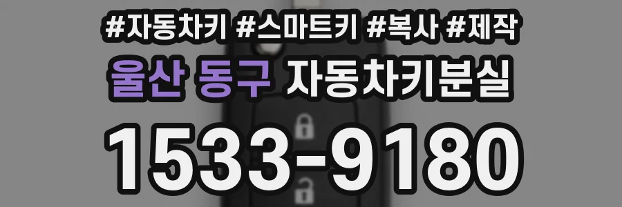 울산 동구 자동차키분실