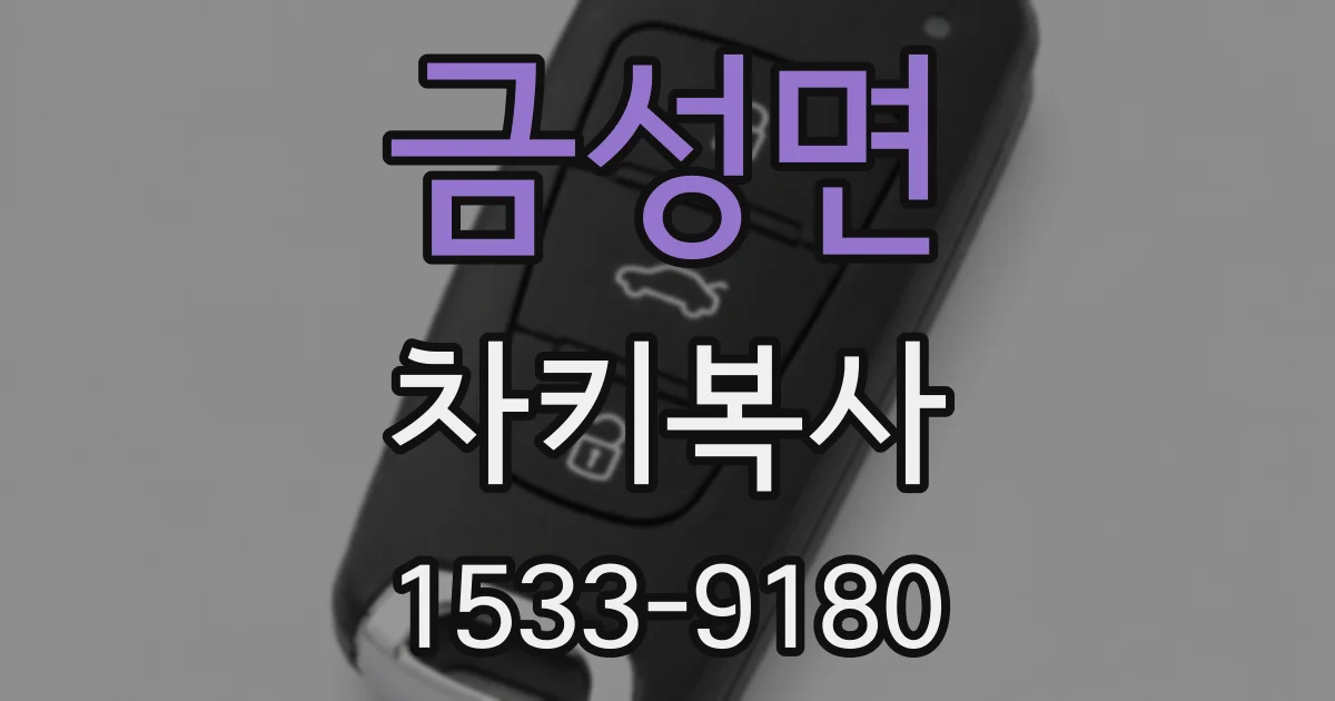 금성면 차키복사