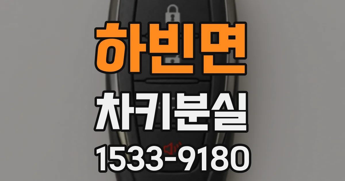 하빈면 차키분실