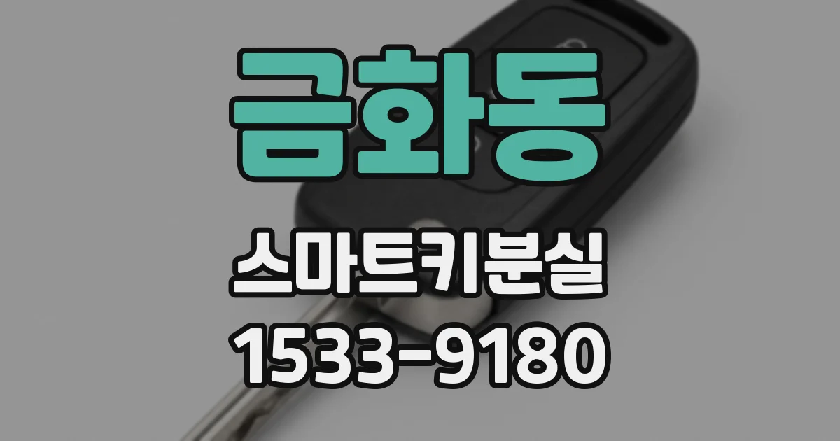 금화동 스마트키분실