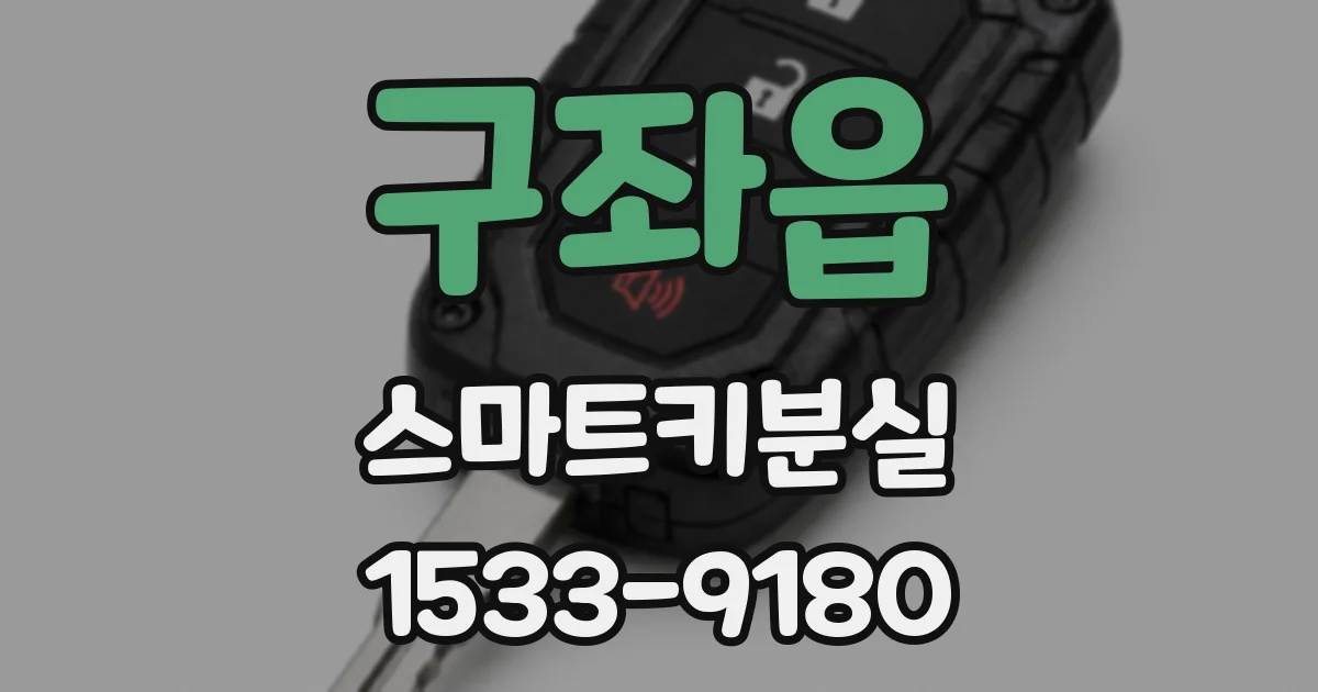 구좌읍 스마트키분실