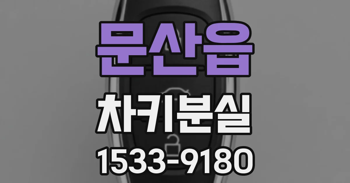 문산읍 차키분실