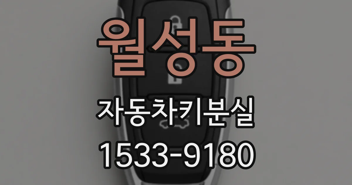 월성동 자동차키분실