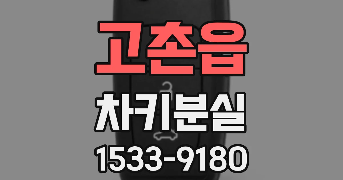 고촌읍 차키분실