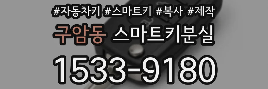 구암동 스마트키분실