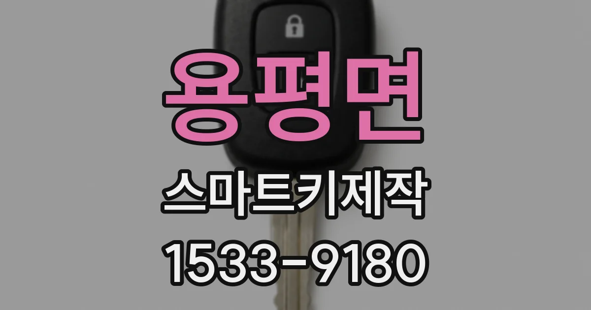 용평면 스마트키제작