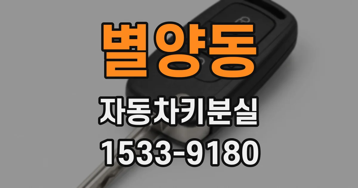 별양동 자동차키분실