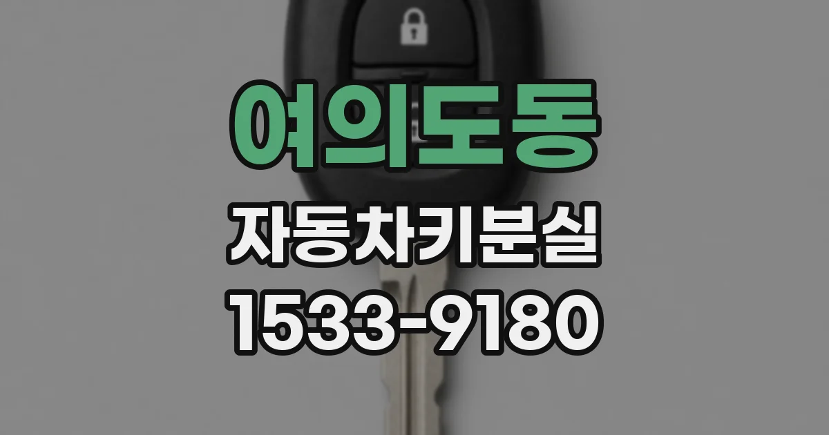 여의도동 자동차키분실