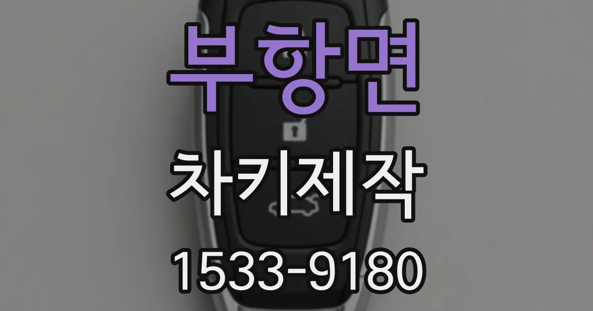 부항면 차키제작