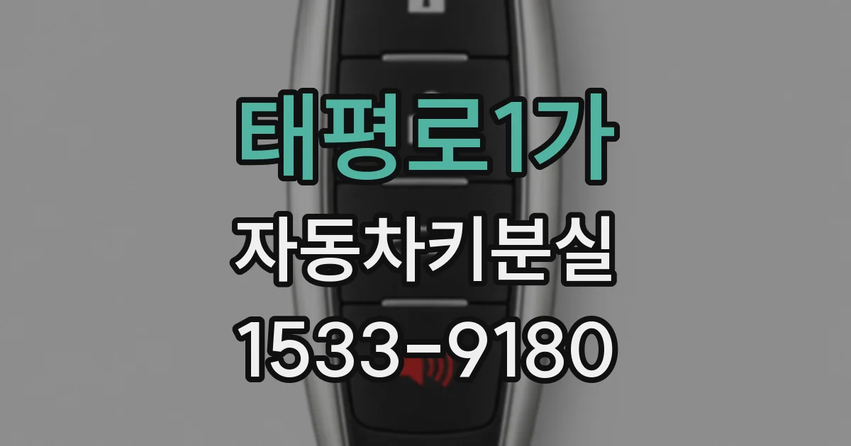 태평로1가 자동차키분실