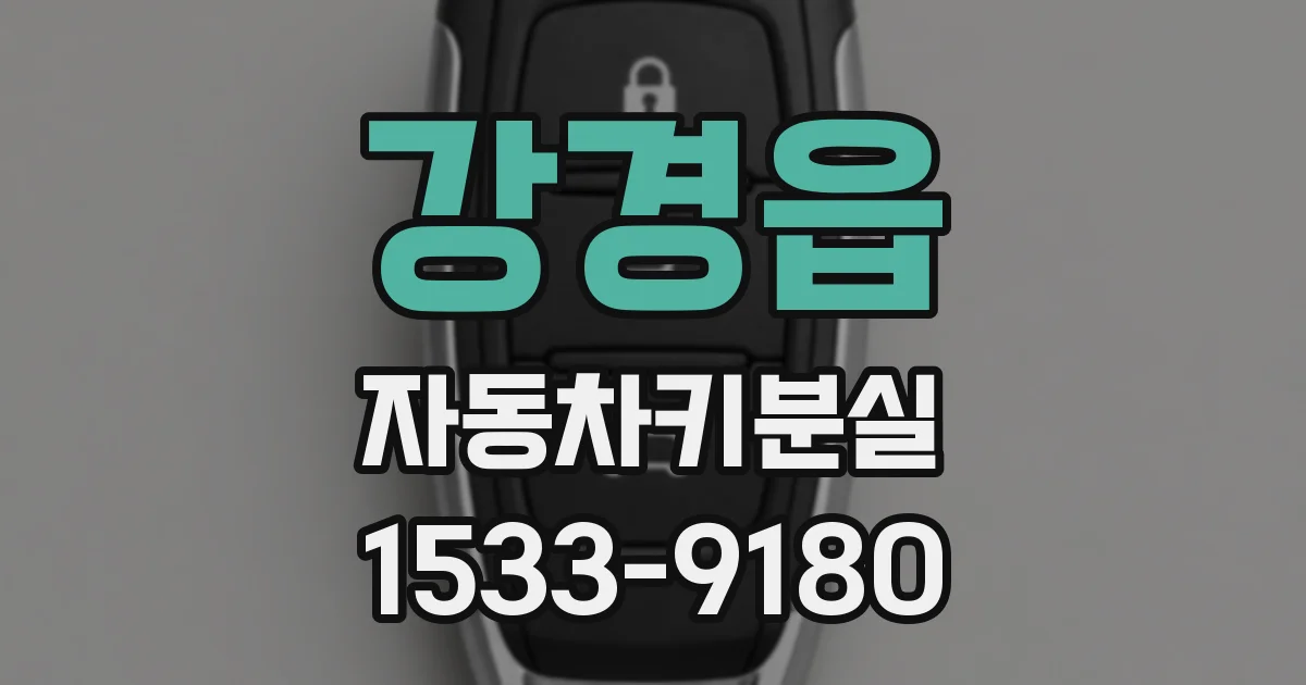 강경읍 자동차키분실