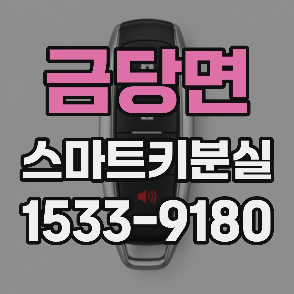 금당면 스마트키분실