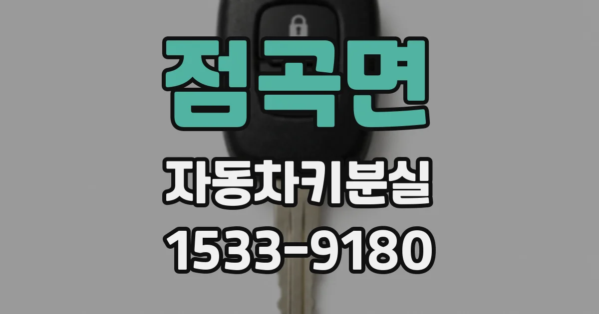 점곡면 자동차키분실