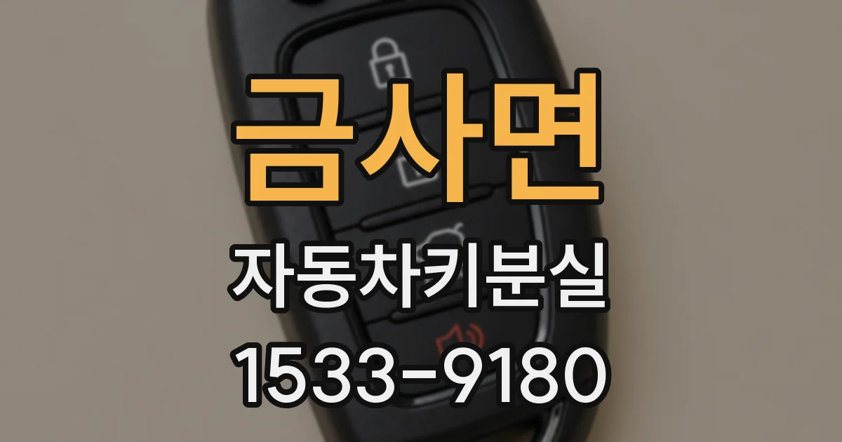 금사면 자동차키분실
