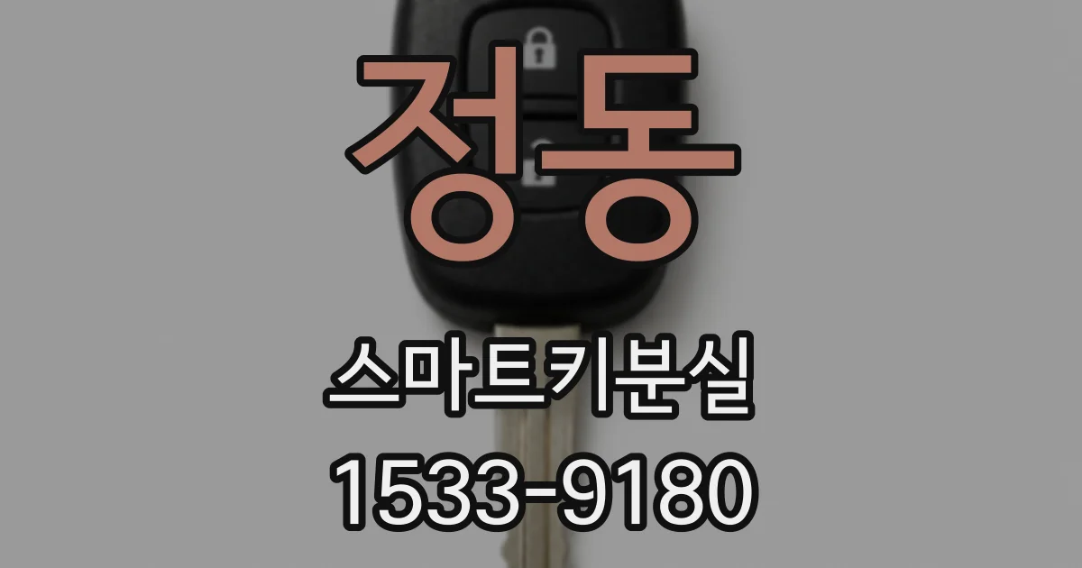 정동 스마트키분실