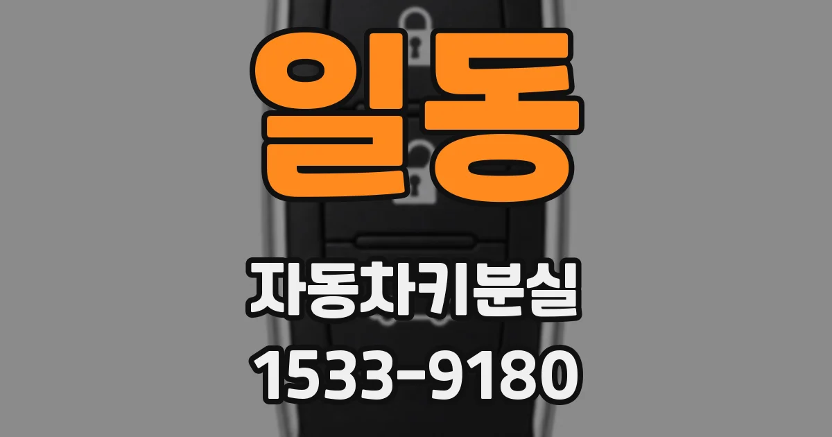 일동 자동차키분실