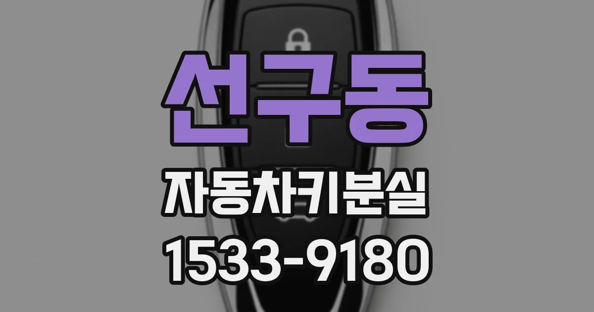 선구동 자동차키분실