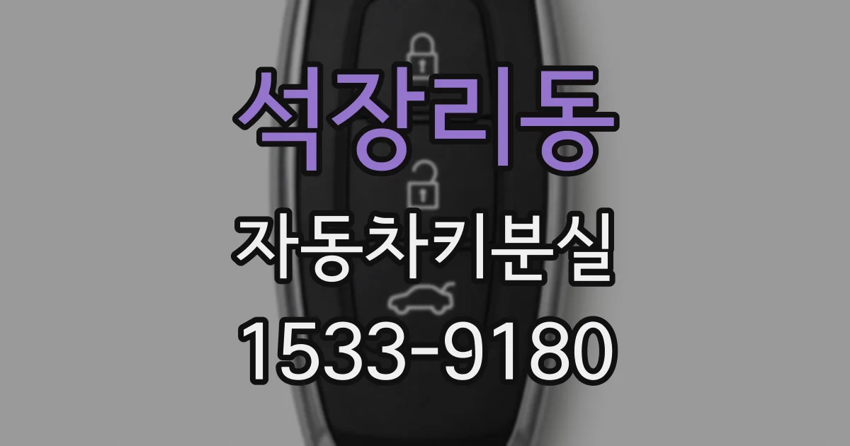석장리동 자동차키분실