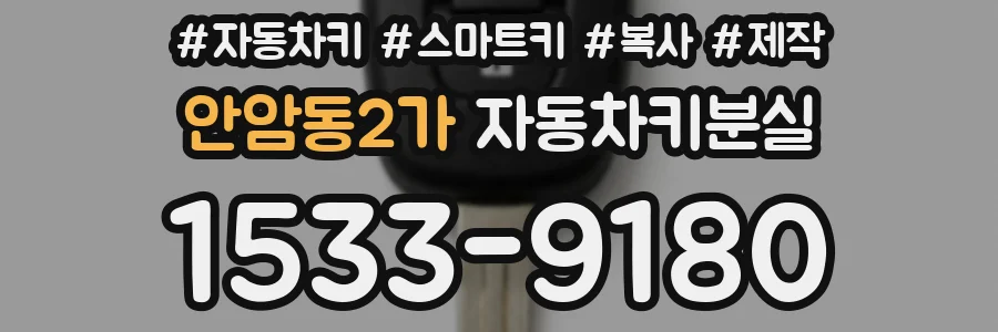안암동2가 자동차키분실