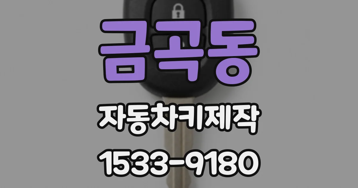 금곡동 자동차키제작