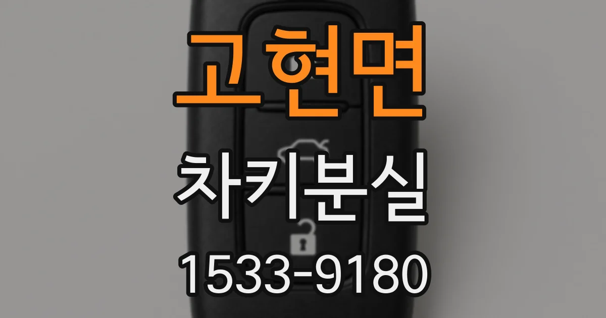 고현면 차키분실
