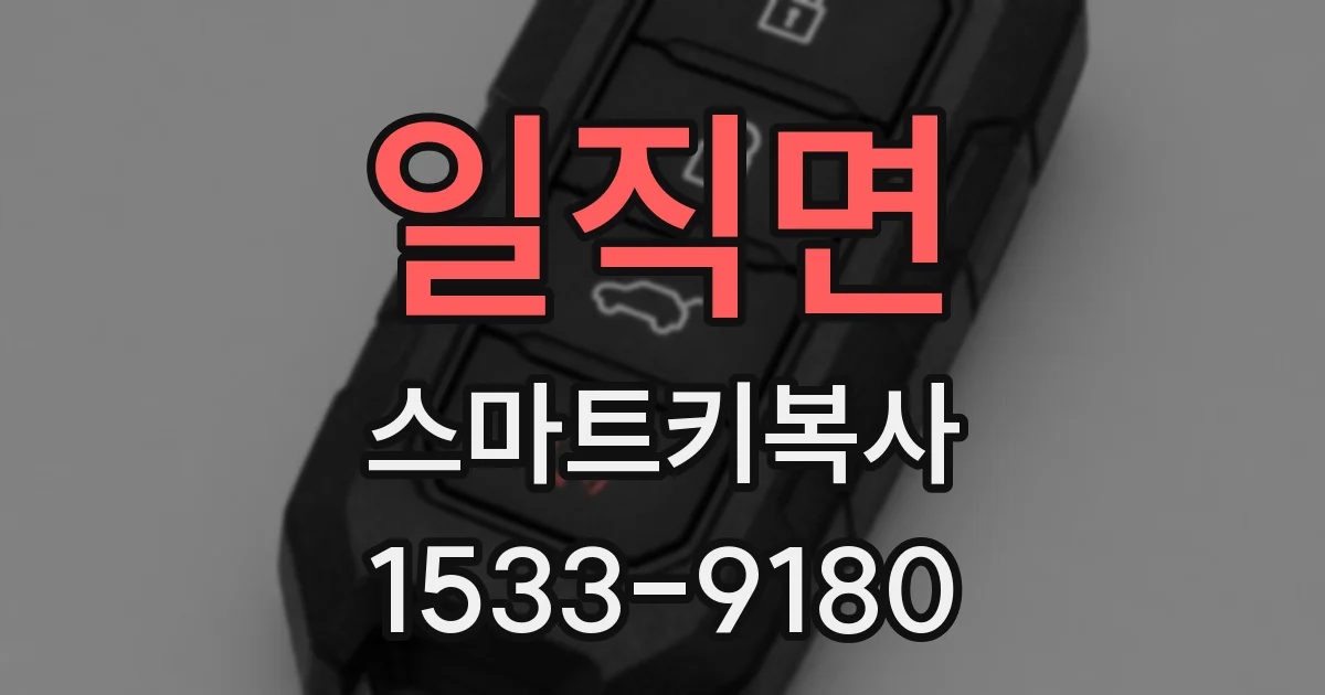 일직면 스마트키복사