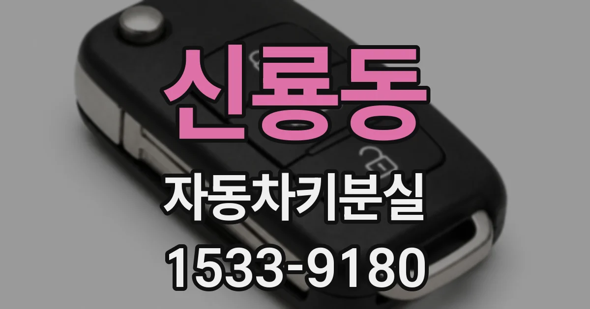 신룡동 자동차키분실