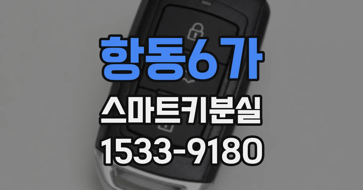 항동6가 스마트키분실