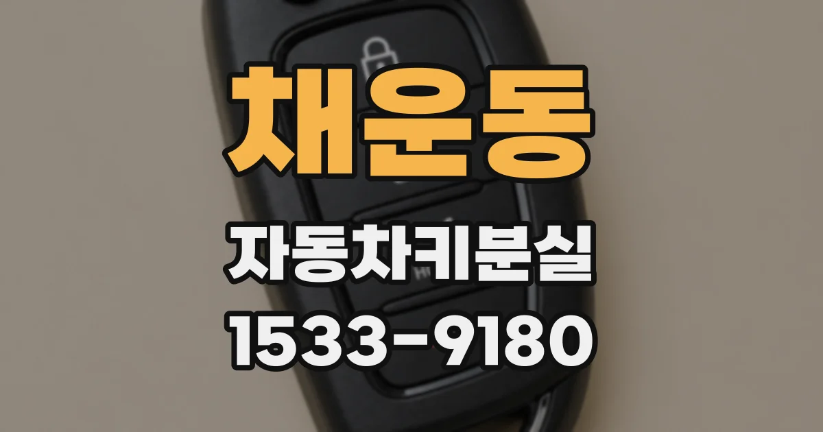 채운동 자동차키분실