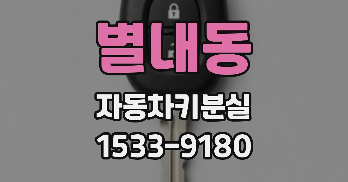 별내동 자동차키분실