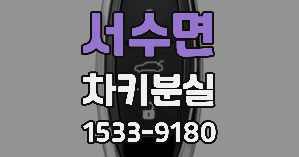 서수면 차키분실
