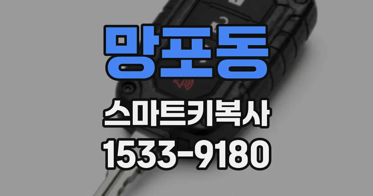 망포동 스마트키복사