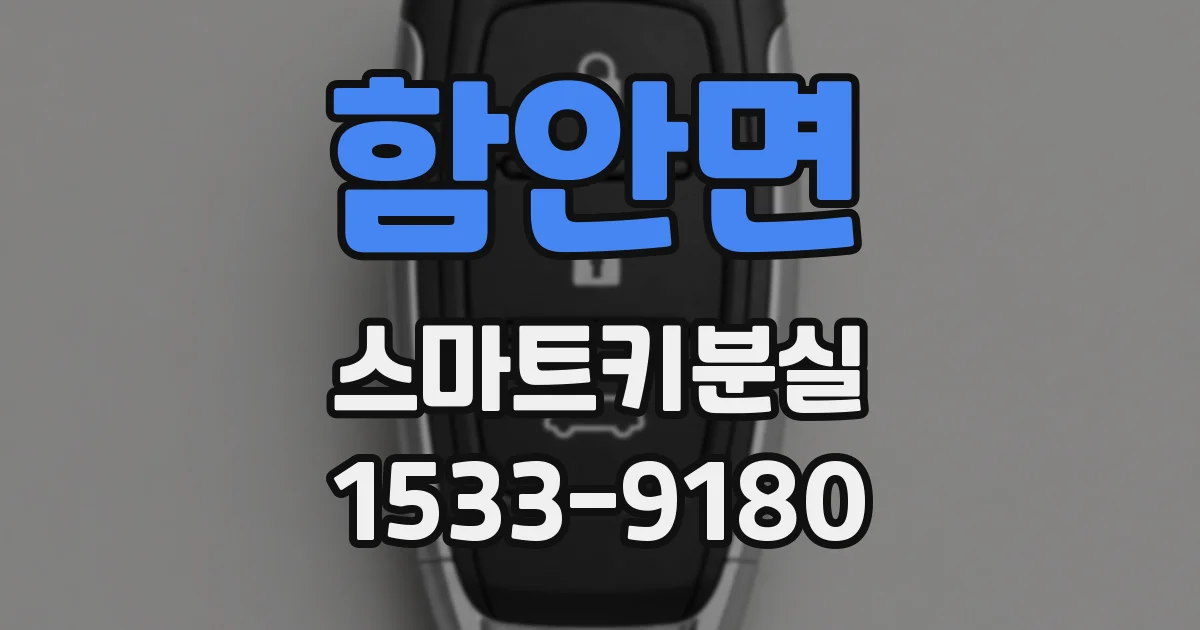 함안면 스마트키분실