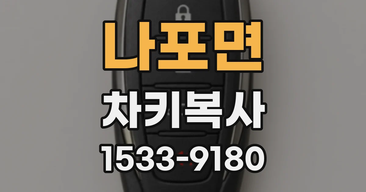나포면 차키복사