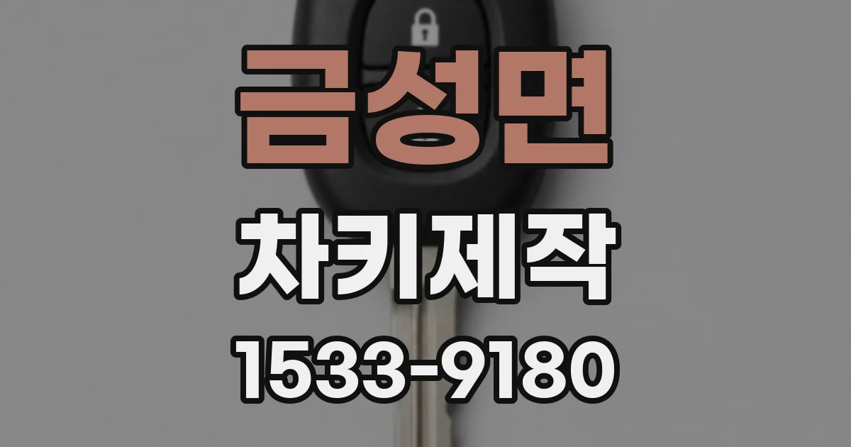 금성면 차키제작