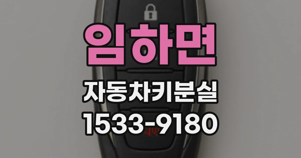 임하면 자동차키분실