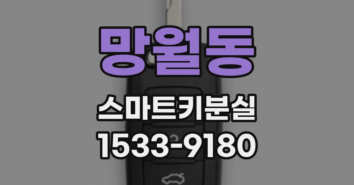 망월동 스마트키분실