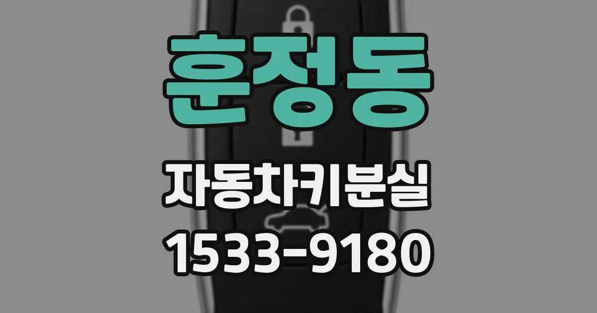 훈정동 자동차키분실