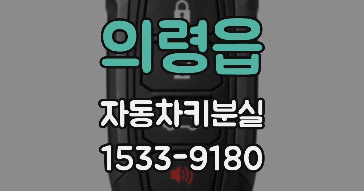 의령읍 자동차키분실