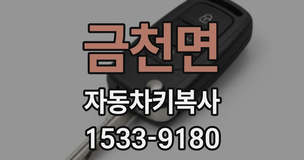 금천면 자동차키복사
